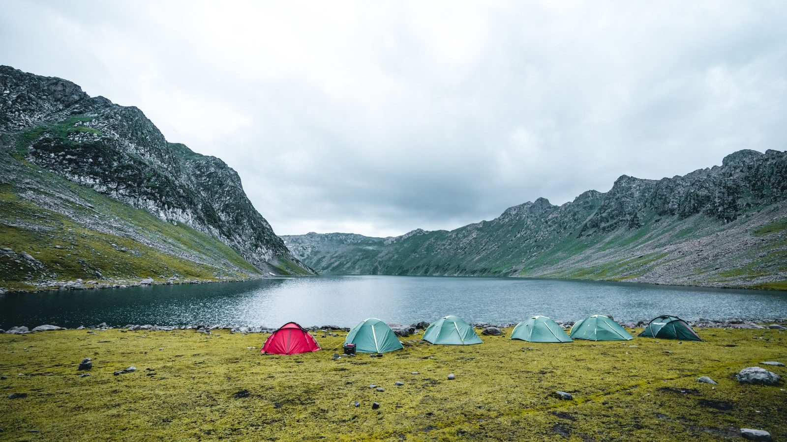 Tents spread across a grass field near a lake at a spacious campsite