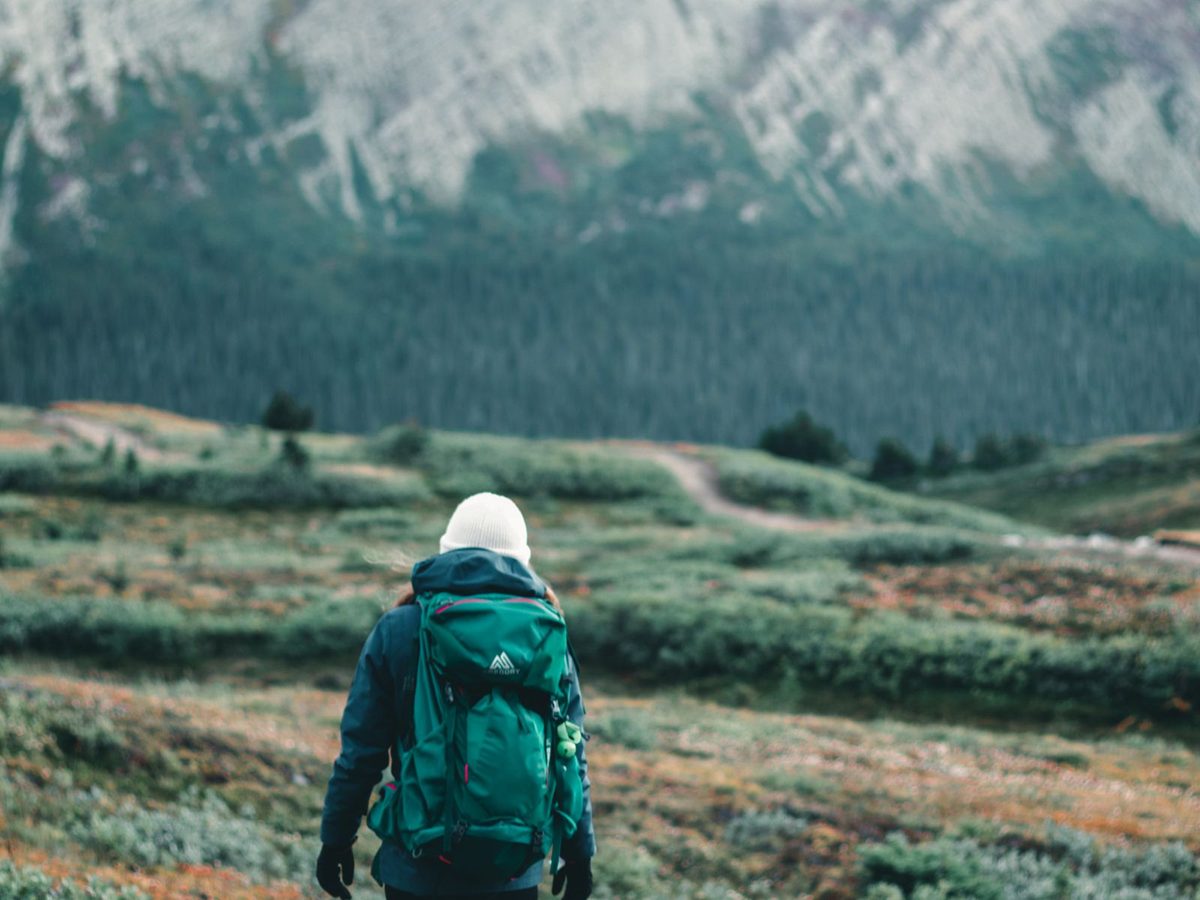 A backpacker walking a lush trail with mountains behind