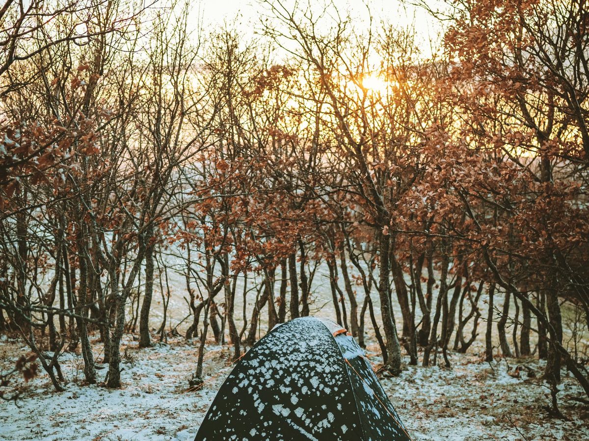 A tent in a snowy forest clearing at sunrise